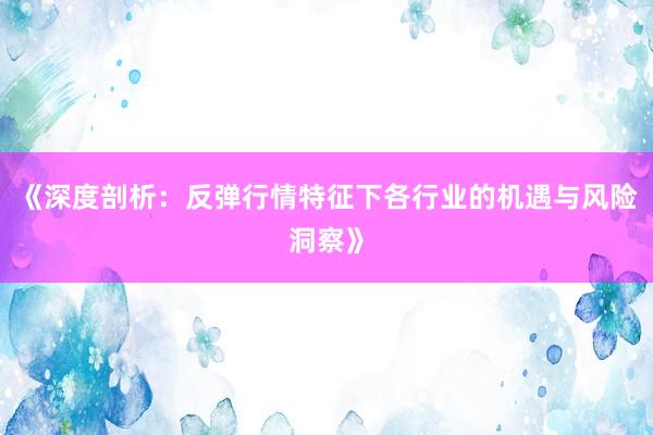 《深度剖析：反弹行情特征下各行业的机遇与风险洞察》