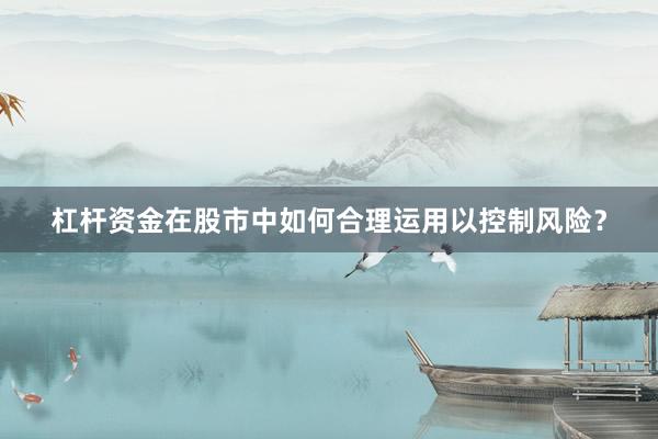 杠杆资金在股市中如何合理运用以控制风险？