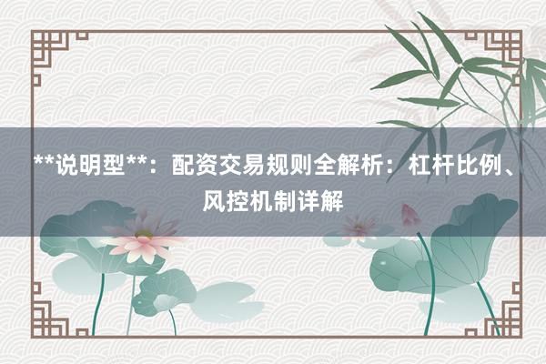 **说明型**：配资交易规则全解析：杠杆比例、风控机制详解