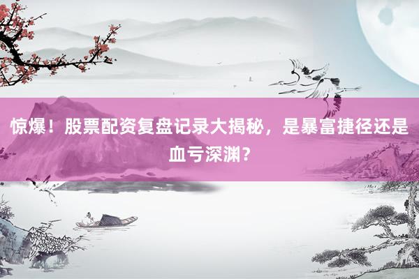 惊爆！股票配资复盘记录大揭秘，是暴富捷径还是血亏深渊？