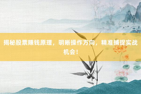 揭秘股票赚钱原理，明晰操作方向，精准捕捉实战机会！