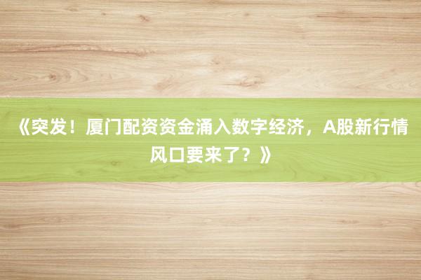 《突发！厦门配资资金涌入数字经济，A股新行情风口要来了？》
