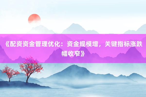 《配资资金管理优化：资金规模增，关键指标涨跌幅收窄》
