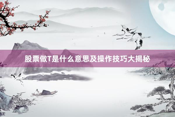 股票做T是什么意思及操作技巧大揭秘