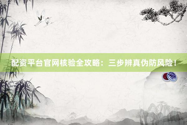 配资平台官网核验全攻略：三步辨真伪防风险！